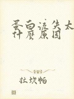 蛋白流失太快是什么原因