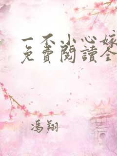 一不小心嫁总裁免费阅读全文