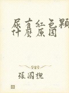 尿有红色颗粒是什么原因