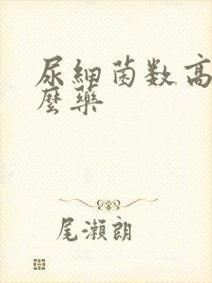 尿细菌数高吃什么药