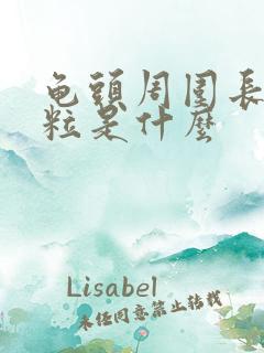 龟头周围长小颗粒是什么