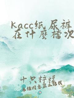 kacc纸尿裤在什么档次