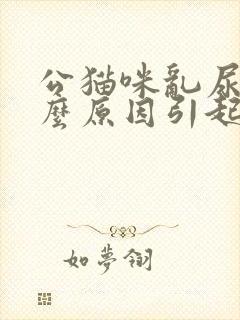 公猫咪乱尿是什么原因引起的