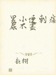 男小便刺痛尿频尿不尽