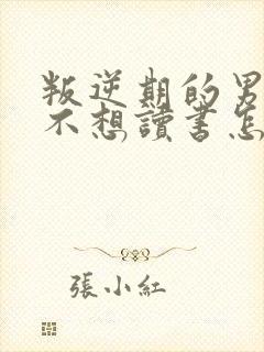 叛逆期的男孩子不想读书怎么办