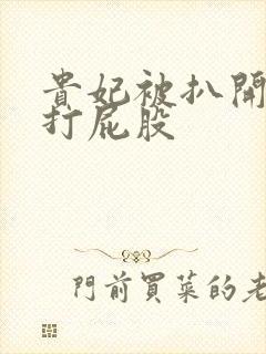 贵妃被扒开臀缝打屁股