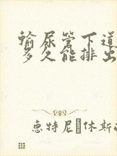 输尿管下道结石多久能排出