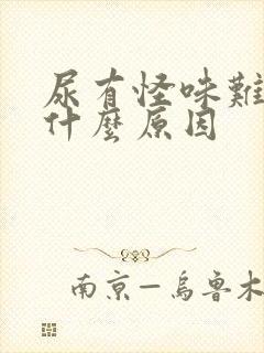 尿有怪味难闻是什么原因