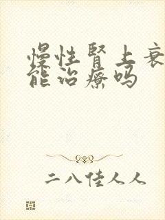 慢性肾上衰竭还能治疗吗