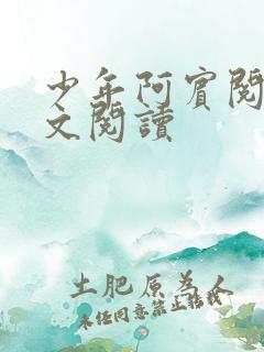 少年阿宾阅读全文阅读