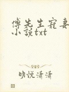 傅先生宠妻无度小说txt