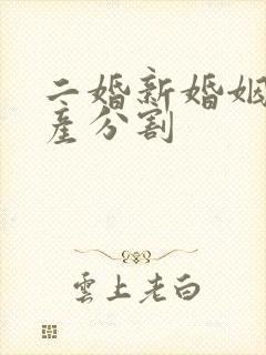 二婚新婚姻法房产分割