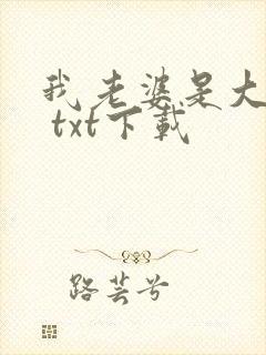 我老婆是大明星 txt下载