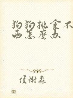 狗狗挑食不吃东西怎么办