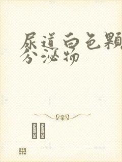 尿道白色颗粒状分泌物