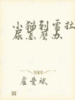 小猫到处拉屎拉尿怎么办