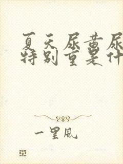 夏天尿黄尿骚味特别重是什么原因