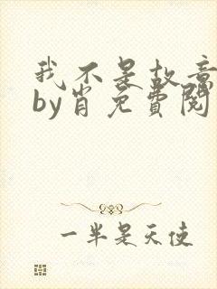 我不是故意出轨by肖免费阅读