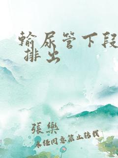 输尿管下段结石 排出