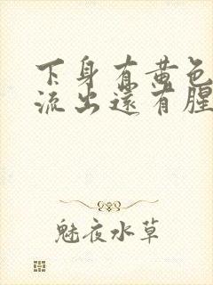 下身有黄色液体流出还有腥臭味是怎么回事