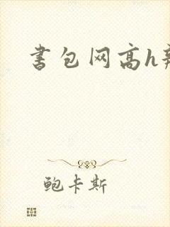书包网高h辣文