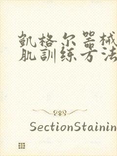 凯格尔器械盆底肌训练方法视频