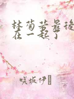 林菊若最后和谁在一起了