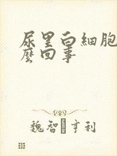 尿里白细胞高怎么回事