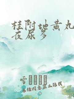 桂附地黄丸治疗夜尿多