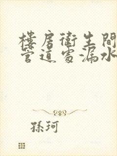 楼房卫生间下水管道处漏水怎么办