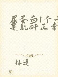 尿蛋白1个十但是肌酐正常