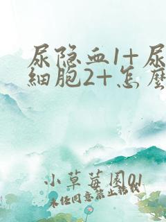 尿隐血1+尿白细胞2+怎么回事