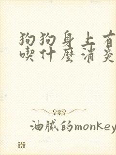 狗狗身上有伤口吃什么消炎药