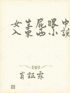 女生屁眼中被插入东西小说