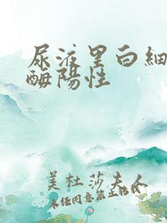 尿液里白细胞酯酶阳性