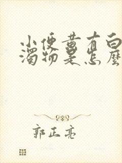 小便黄有白色浑浊物是怎么回事