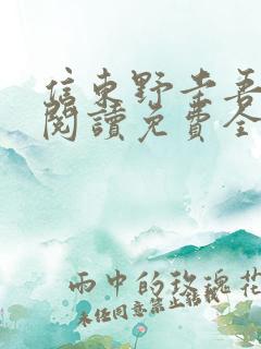 信东野圭吾在线阅读免费全本