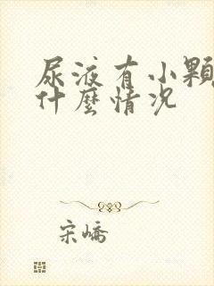 尿液有小颗粒是什么情况