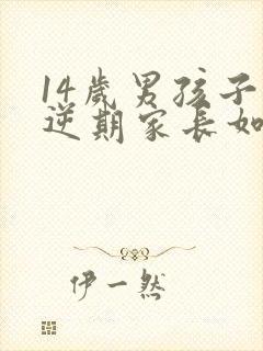 14岁男孩子叛逆期家长如何管教