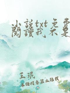 小说txt免费阅读我不是戏神