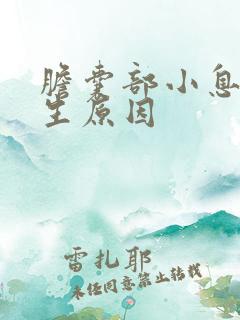 胆囊部小息肉产生原因