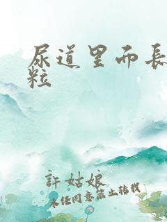 尿道里面长小肉粒