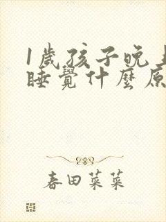 1岁孩子晚上不睡觉什么原因