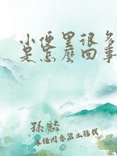 小便里很多泡泡是怎么回事?