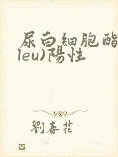 尿白细胞酯酶(leu)阳性