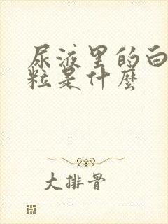 尿液里的白色颗粒是什么