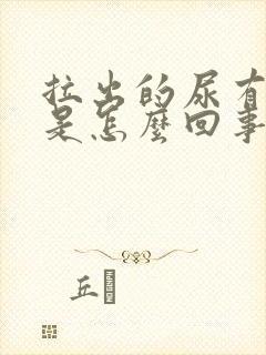 拉出的尿有泡泡是怎么回事