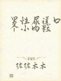 男性尿道口长了个小肉粒