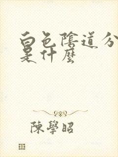 白色阴道分泌物是什么