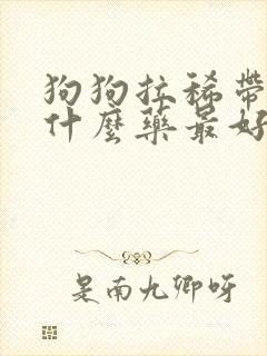 狗狗拉稀带血买什么药最好